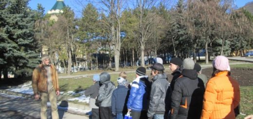 На зимних каникулах школьникам было не до скуки