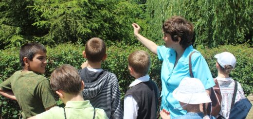 Воспитанники ДВШ никольского храма посетили дендропарк