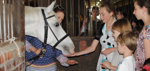 Воспитанники ДВШ посетили конно-спортивный клуб «Бештау»