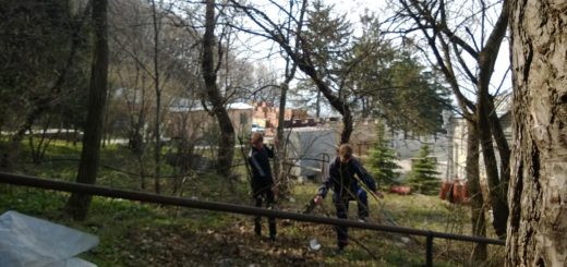 Каникулы в монастыре