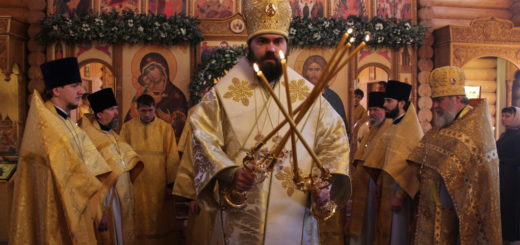 В день торжества закона