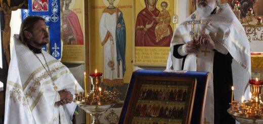 Полгода с момента кончины протоиерея Сергия Бондаренко